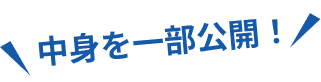 中身を一部公開