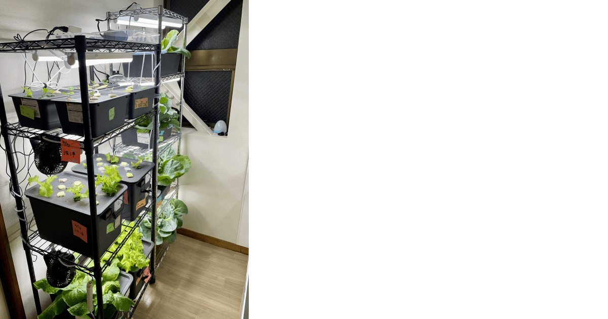 水耕栽培装置の全体像