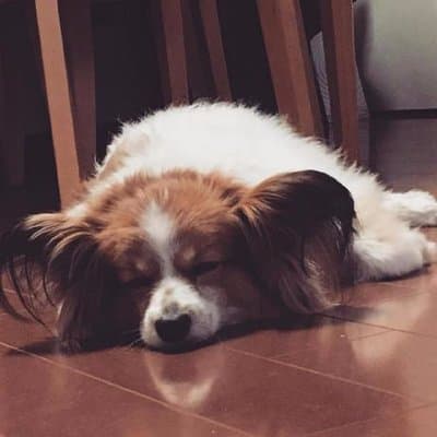 新福 宜侑のプロフィール画像