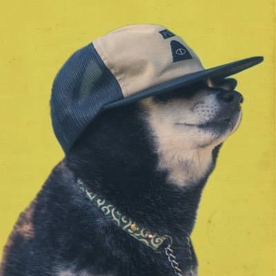 Iwaminのプロフィール画像
