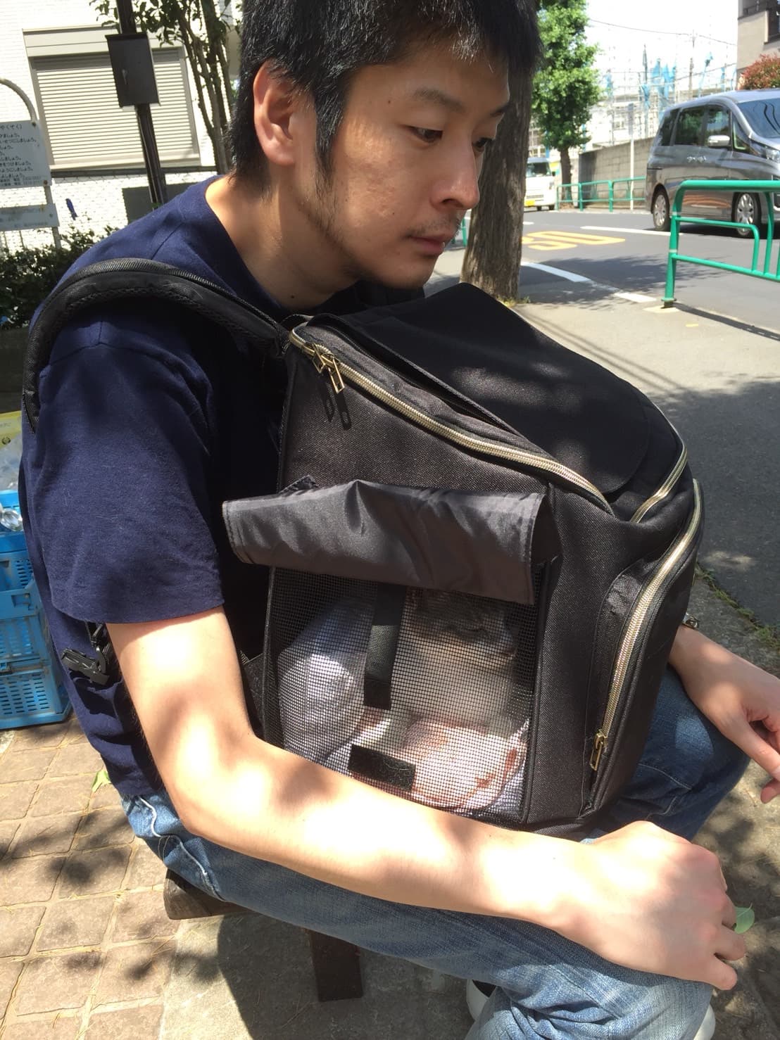 飼い猫を動物病院に連れて行った帰りにタクシーを待っている