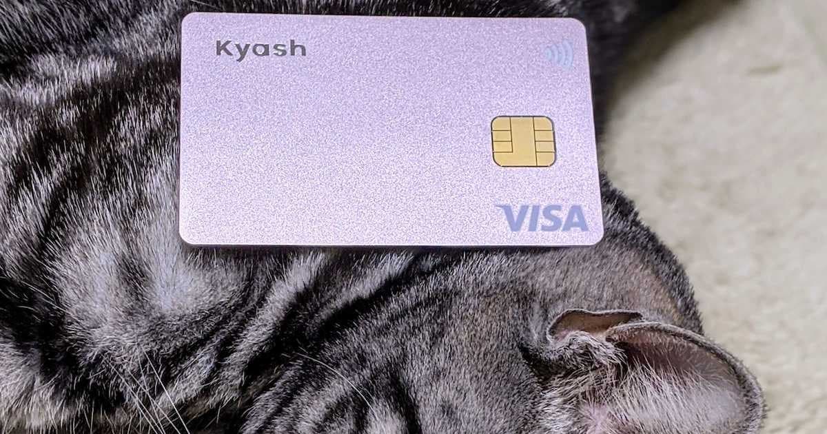 キャリアへの焦燥感を成長の糧に。新卒2年目で直面した不安を払拭するため、こにふぁーさんが試行錯誤してきたことのトップ画像