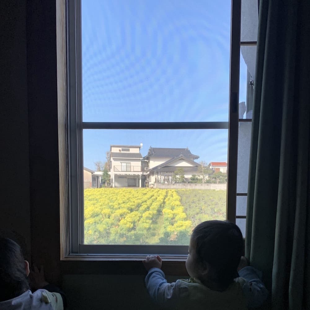 妻実家の窓からの景色
