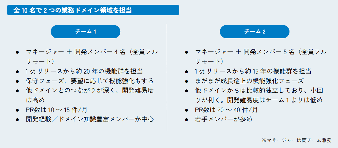 全10名で2つの業務ドメイン領域を担当.png